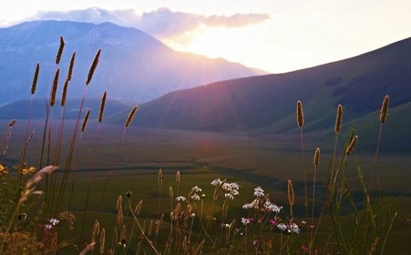 Looking at peaceful sunsets like this can help with stress management