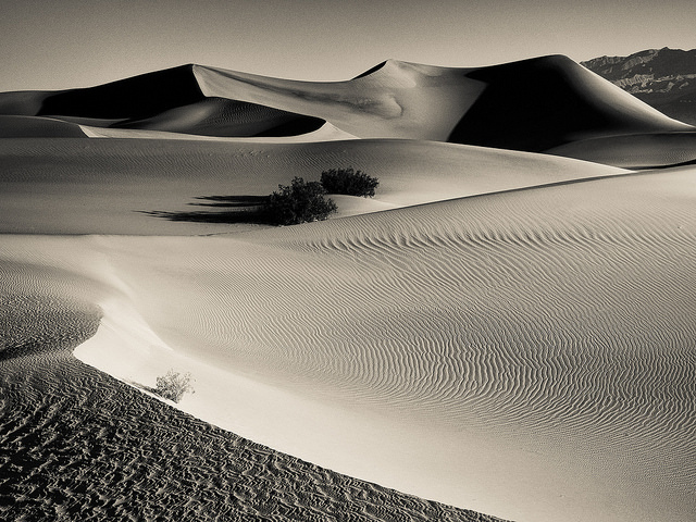 Desert Curves by Shira Bezalel at Flickr, Interview with Lisa Herman, Expressive Arts Therapist