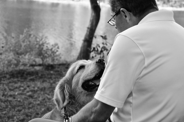 Dog smiling at owner listening to every word, showing empathy